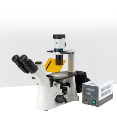 Microscopio Fluorescencia RX50