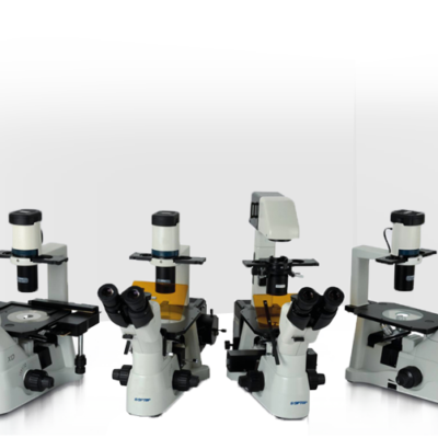 Microscopio Invertidos XD